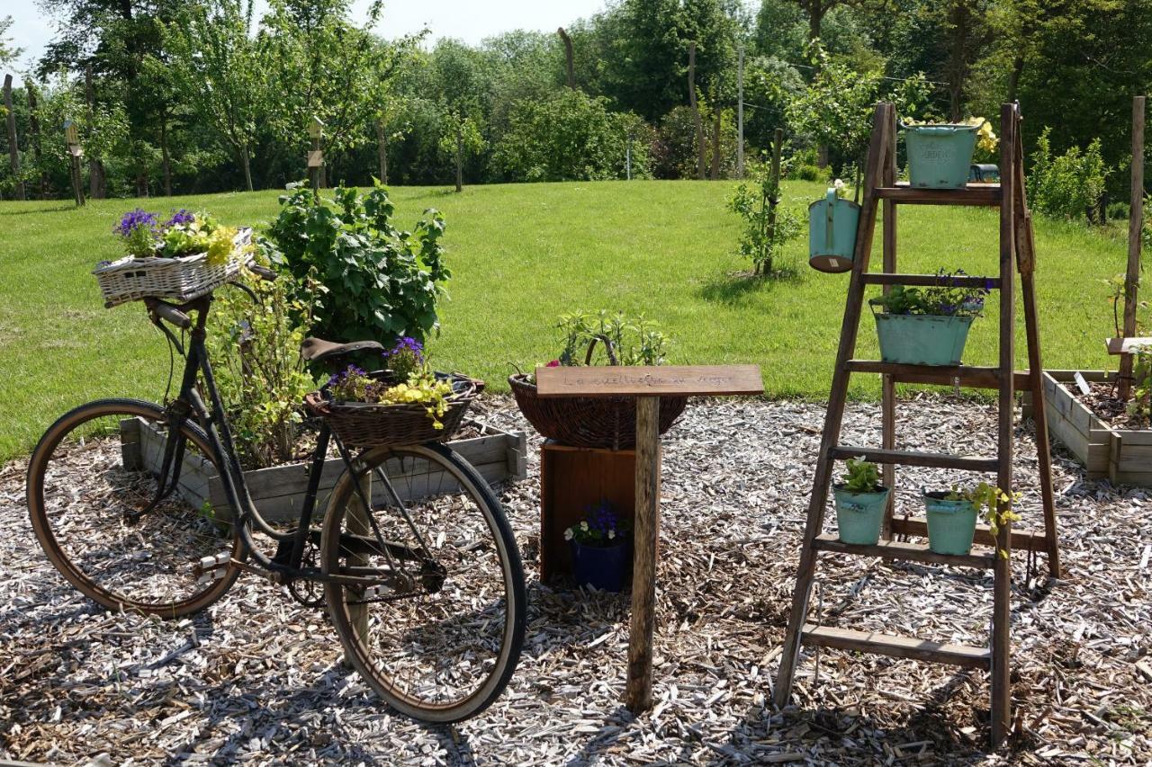 Hotel Le Manoir Des Aromes Brugny-Vaudancourt Exterior foto